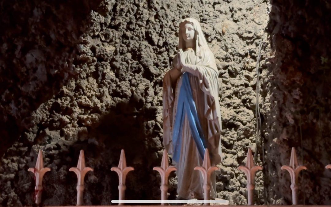 Festividad de Nuestra Señora de Lourdes